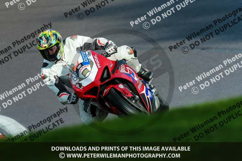 PJ Motorsport Photography 2020;anglesey;brands hatch;cadwell park;croft;donington park;enduro digital images;event digital images;eventdigitalimages;mallory;no limits;oulton park;peter wileman photography;racing digital images;silverstone;snetterton;trackday digital images;trackday photos;vmcc banbury run;welsh 2 day enduro